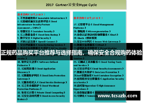 正规药品购买平台推荐与选择指南，确保安全合规购药体验