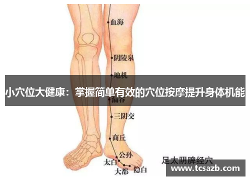 小穴位大健康：掌握简单有效的穴位按摩提升身体机能