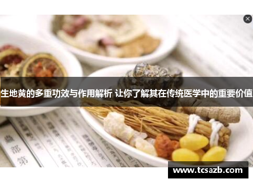 生地黄的多重功效与作用解析 让你了解其在传统医学中的重要价值