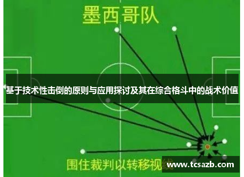 基于技术性击倒的原则与应用探讨及其在综合格斗中的战术价值